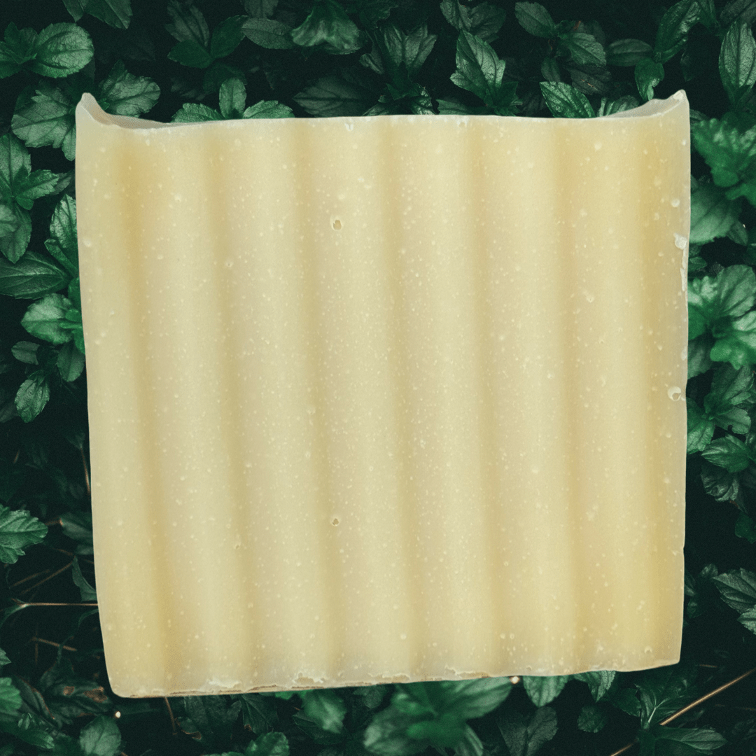 Tallow Soap - Alberta Skincare